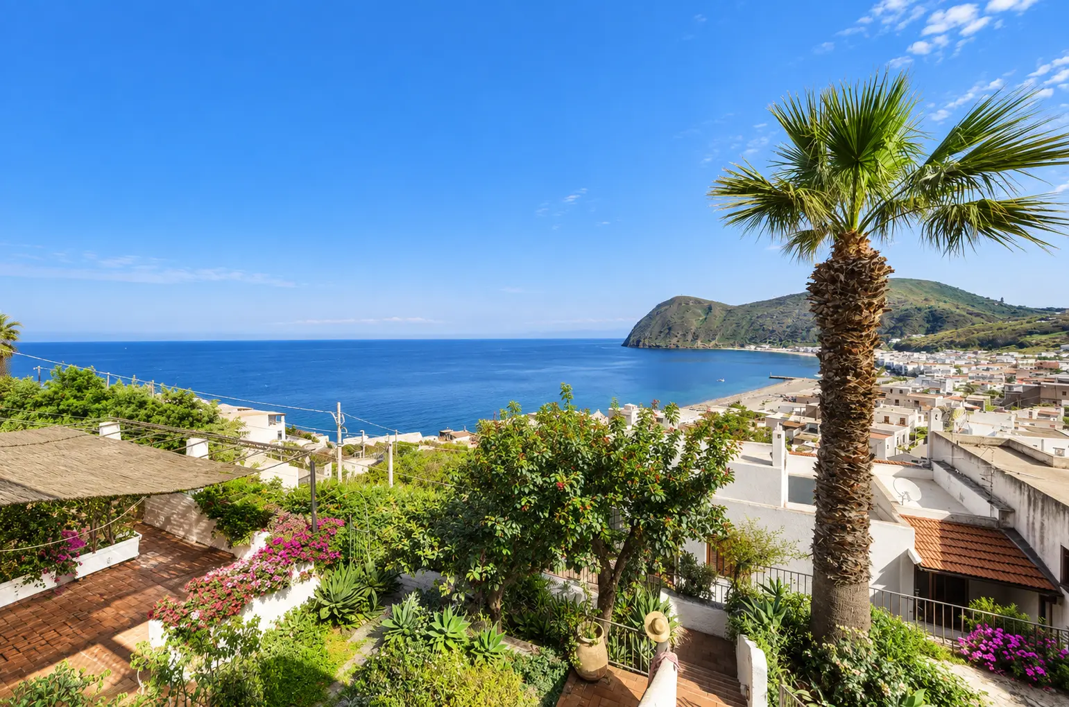 Il giardino con la palma e il panorama sulla baia